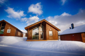Perfect Base for Skiing and local Events